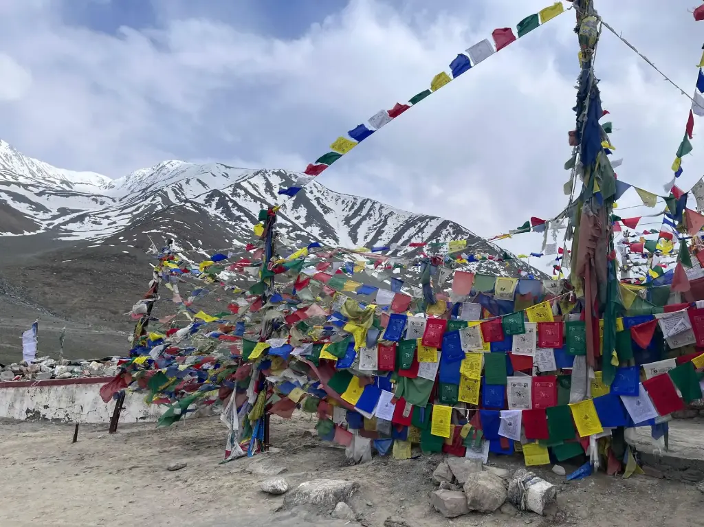 WhatsApp Image 2025-11-14 at 2.10.06 PM.webp