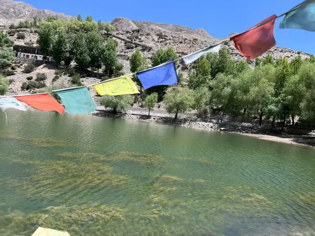 WhatsApp Image 2025-11-14 at 2.09.19 PM.webp